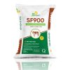 SF900