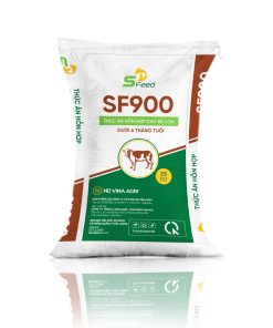 SF900